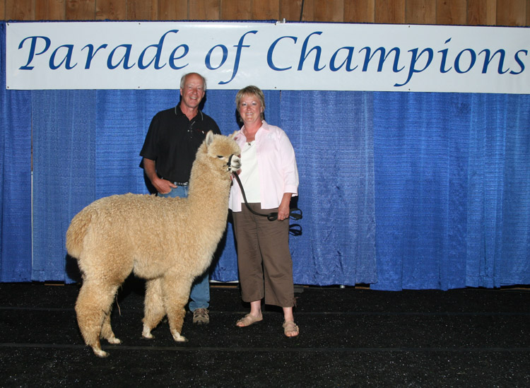 The Parade of Champions is an annual event at Pacific Crest Alpacas