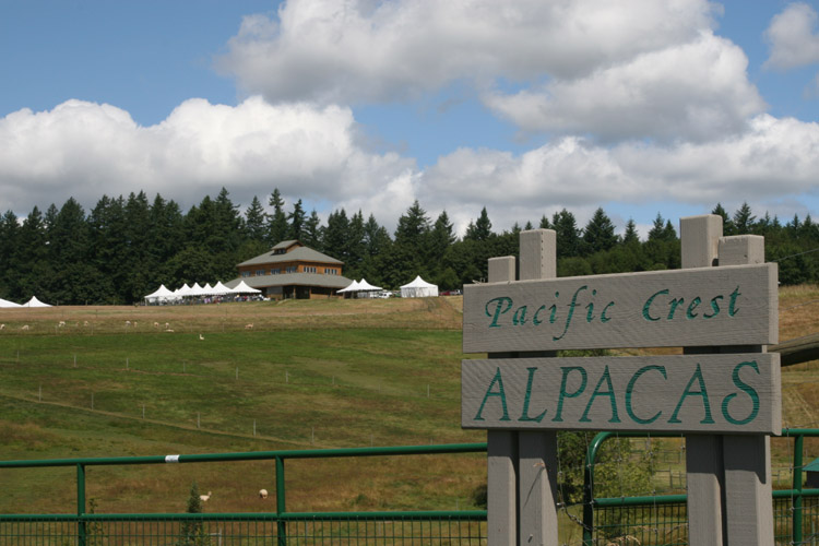 Pacific Crest Alpacas is located in the beautiful Helvetia area