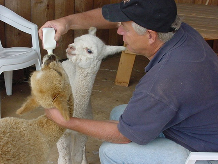 Greg feeds a couple of young ones